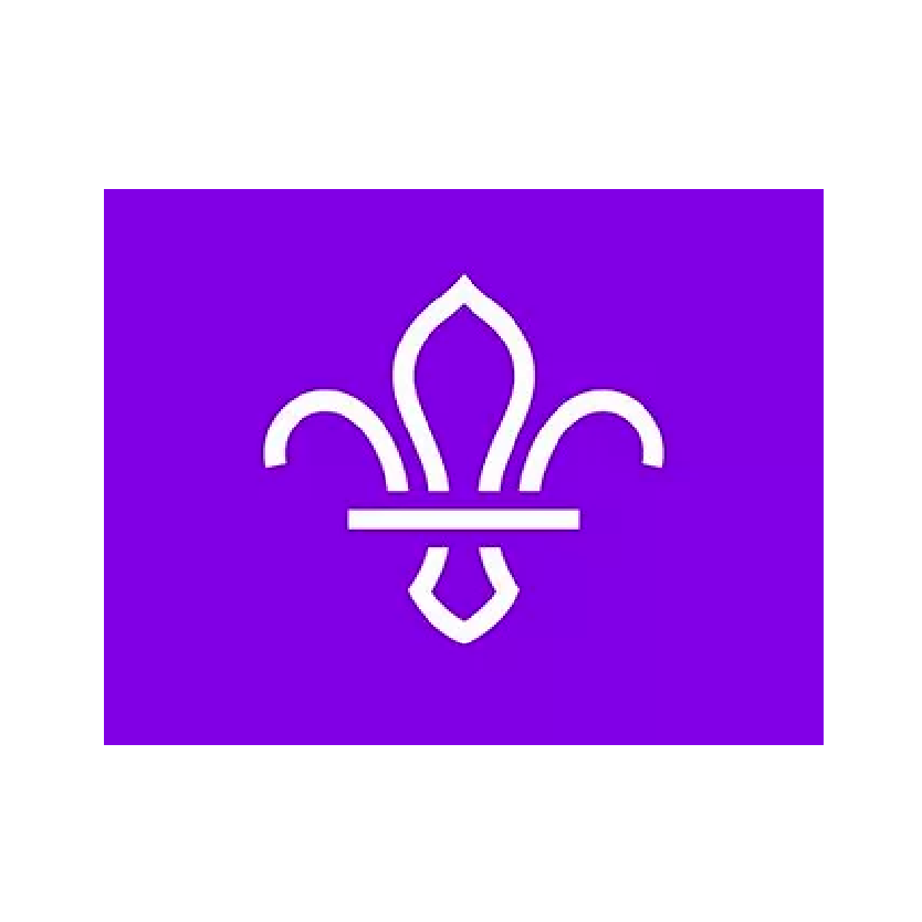 Scouts